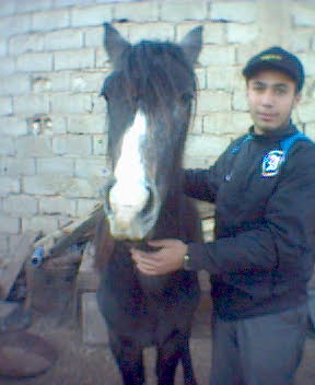 c faissal avec le chevale