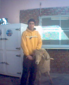voila faissal avec alhawli