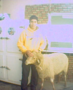 faissal