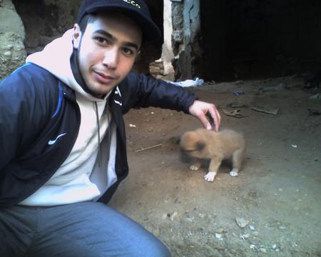 faissal